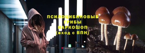 соль ск Белокуриха