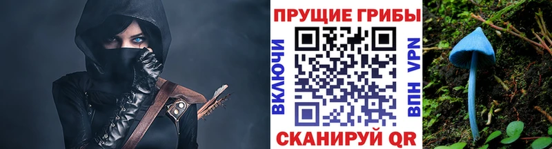где купить ОМГ ОМГ рабочий сайт Псилоцибиновые грибы ЛСД Верея