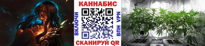 Каннабис OG Kush  магазин продажи наркотиков  Верея 